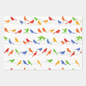 Vogels Cadeauverpakking Papier Blad. Inpakpapier Vel (Voorkant)