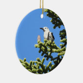 Vogels, Clark's Nutkraker, wilde dieren, ornament (Rechts)