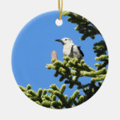 Vogels, Clark's Nutkraker, wilde dieren, ornament (Voorkant)
