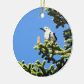 Vogels, Clark's Nutkraker, wilde dieren, ornament (Links)