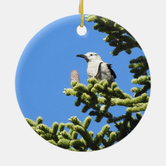 Vogels, Clark's Nutkraker, wilde dieren, ornament (Achterkant)