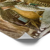 "Vogels" — collage van papier Poster (Hoek)