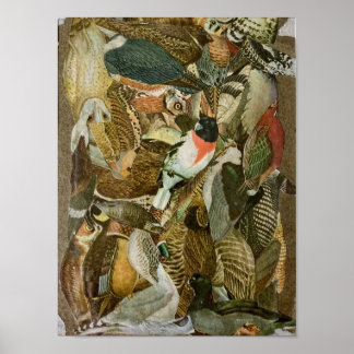 "Vogels" — collage van papier Poster