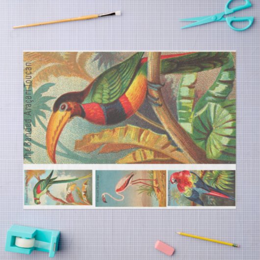 Vogels Collectie Toucan 2b ontkoppeling Tissuepapier (Craft)