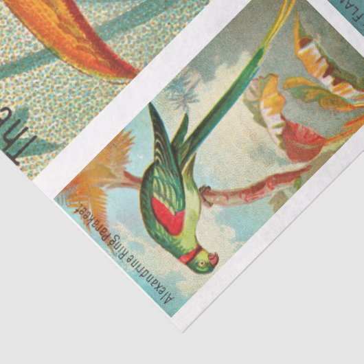 Vogels Collectie Toucan 2b  ontkoppeling Tissuepapier (Detail)