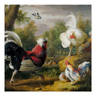  vogels De hanen vechten Perfect Poster
