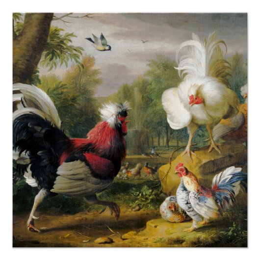 vogels De hanen vechten Perfect Poster (Voorkant)