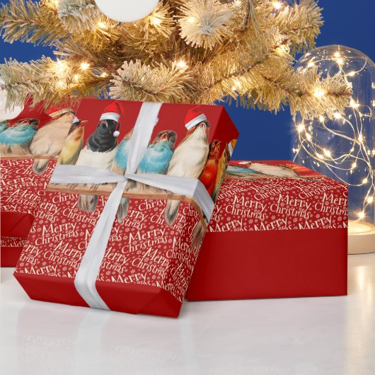 Vogels die de kerstman dragen zitten op een baard cadeaupapier (Feestdagen)