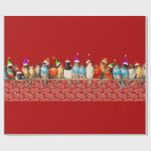 Vogels die de kerstman dragen zitten op een baard cadeaupapier (Vlak)