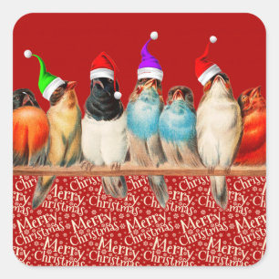 Vogels die de kerstman dragen zitten op een baard vierkante sticker