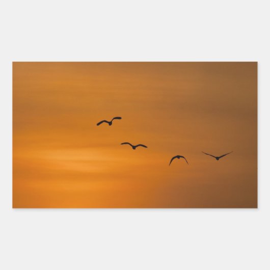 Vogels die in de zon vliegen rechthoekige sticker (Voorkant)