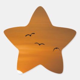 Vogels die in de zon vliegen ster sticker