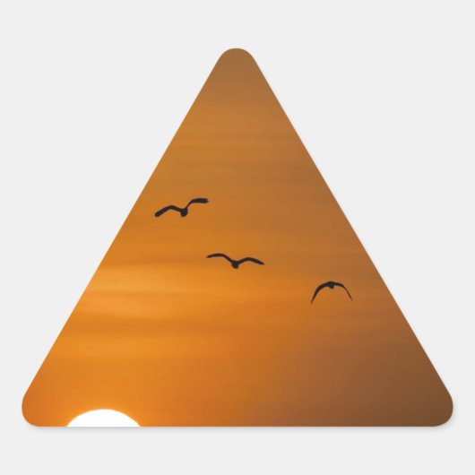Vogels die in de zon vliegen sticker (Voorkant)