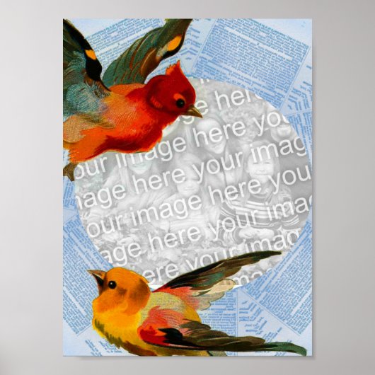 Vogels die je eigen foto maken poster (Voorkant)