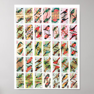 vogels die kaarten spelen dieren Wilde dieren kun Poster