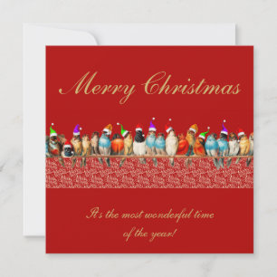 Vogels die Kerstmannenmutsen dragen Kerstgroet Kaart