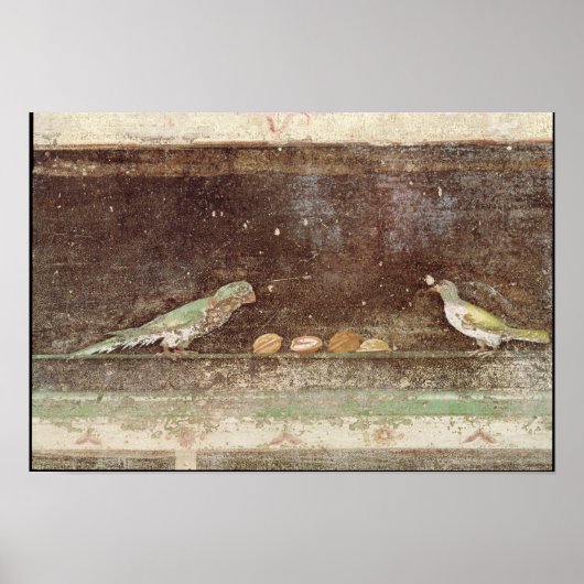 Vogels die noten eten poster (Voorkant)