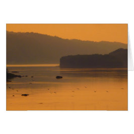 Vogels die op zonsondergang boven water vliegen