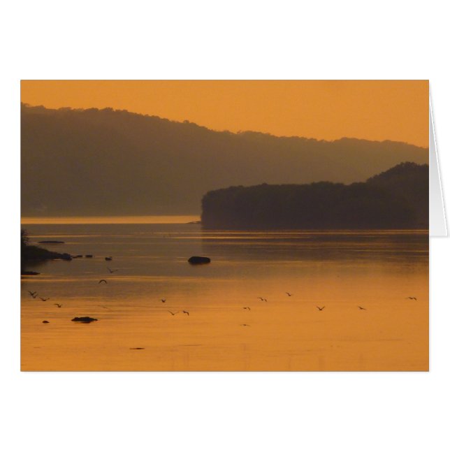 Vogels die op zonsondergang boven water vliegen (Voorkant Horizontaal)