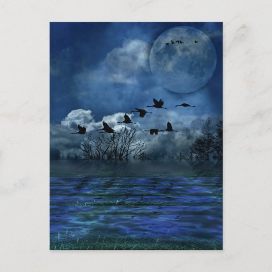 Vogels die 's nachts vliegen briefkaart (Voorkant)