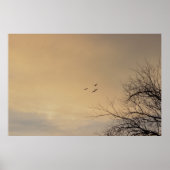 Vogels die vliegen op het Poster Sunset (Voorkant)