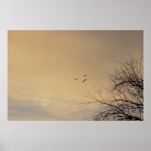 Vogels die vliegen op het Poster Sunset (Voorkant)