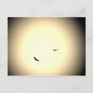 vogels die vrij in de lucht zijn briefkaart