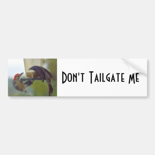 Vogels Dont Tailgate me Bumpersticker (Voorkant)