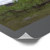 Vogels door het Poster water (Hoek)