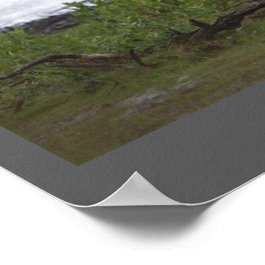 Vogels door het Poster water (Hoek)