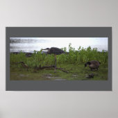 Vogels door het Poster water (Voorkant)