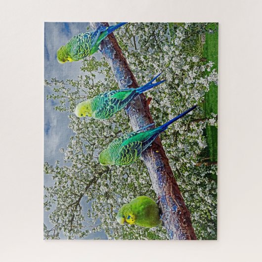 Vogels - draaistellen legpuzzel (Verticaal)