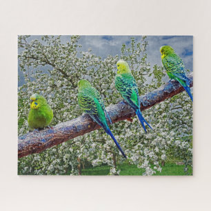 Vogels - draaistellen legpuzzel