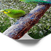 Vogels - draaistellen poster (Hoek)