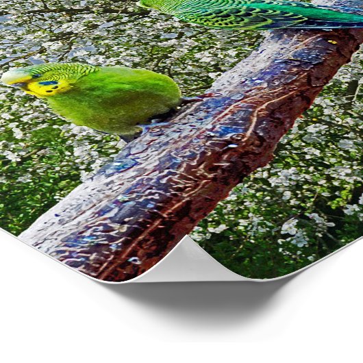 Vogels - draaistellen poster (Hoek)