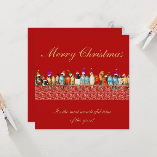 Vogels Dragen Santa Hats Kerstmis Groet Kaart (Voorkant / Achterkant in situ)