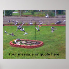 Vogels Duiven Vliegwerf Jouw tekst Posters