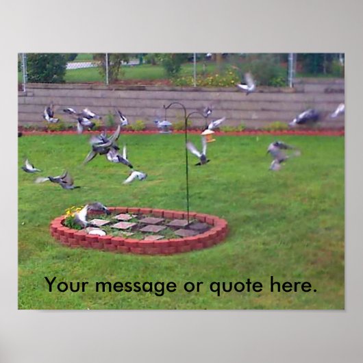 Vogels Duiven Vliegwerf Jouw tekst Posters (Voorkant)