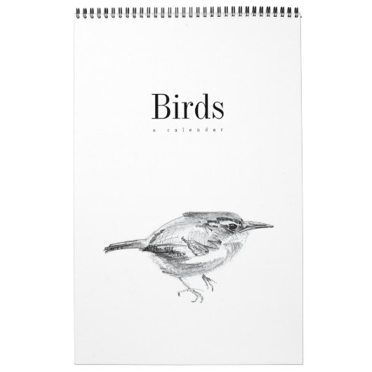 vogels: een kalender (Hoes)