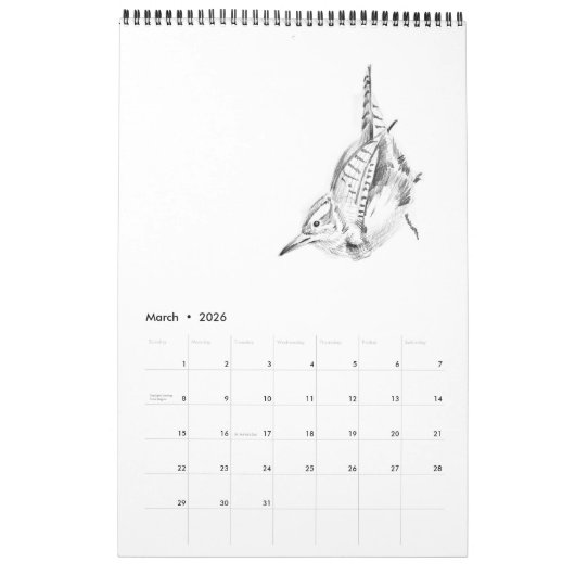 vogels: een kalender (Mar 2026)