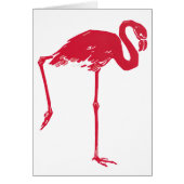  vogels, een roze flamingo met één been omhoog (Voorkant)
