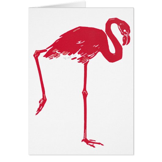 vogels, een roze flamingo met één been omhoog (Voorkant)