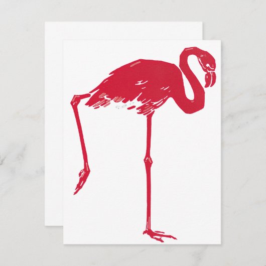 vogels, een roze flamingo met één been omhoog (Voorkant / Achterkant)