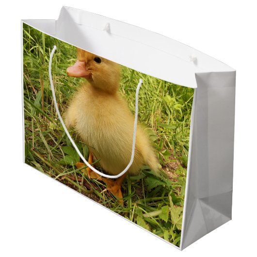 vogels, eenden, eenden, geel, natuur, schattig, ba groot cadeauzakje (Achterkant Gekanteld)
