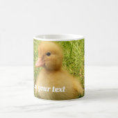 vogels, eenden, eenden, geel, natuur, schattig, ba koffiemok (Center)