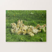 vogels, eenden, eenden, geel, natuur, schattig, ba legpuzzel (Horizontaal)