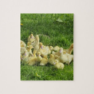 vogels, eenden, eenden, geel, natuur, schattig, ba legpuzzel