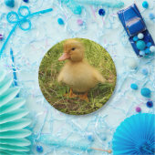 vogels, eenden, eenden, geel, natuur, schattig, ba papieren bordje (Feest)