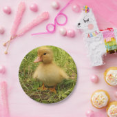 vogels, eenden, eenden, geel, natuur, schattig, ba papieren bordje (Feest)