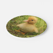 vogels, eenden, eenden, geel, natuur, schattig, ba papieren bordje (Gekanteld)